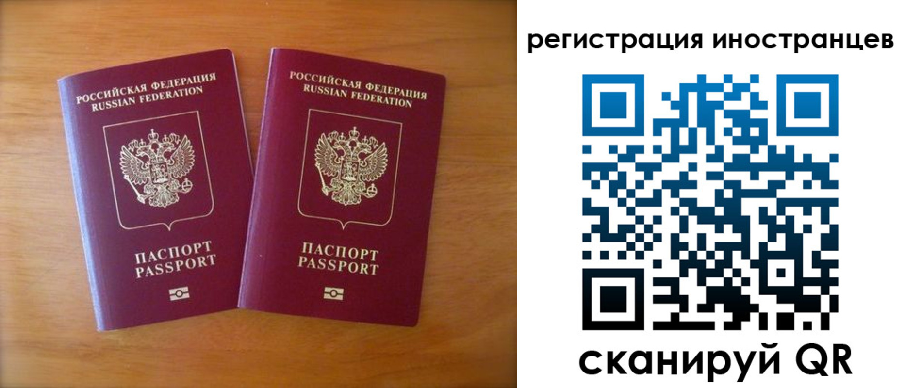 прописка поиск в Камчатском крае